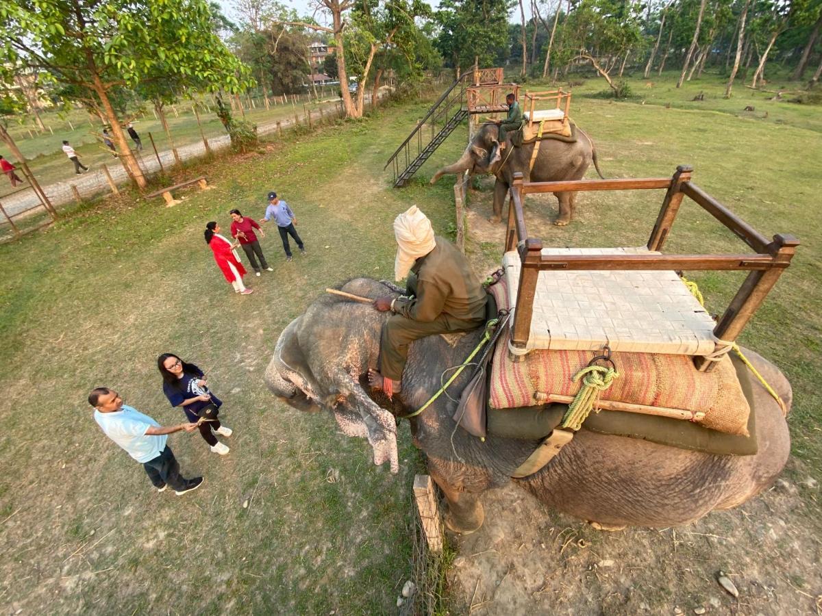 Hotel Shiva'S Dream Sauraha Exterior photo
