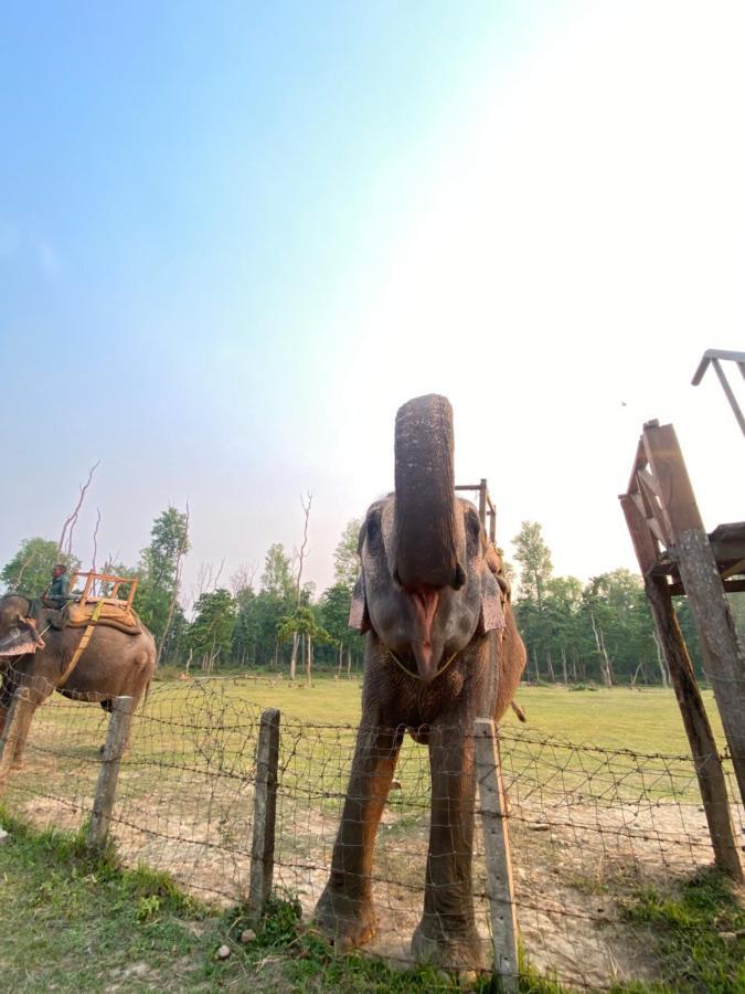 Hotel Shiva'S Dream Sauraha Exterior photo